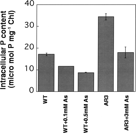 Fig. 4 Intracellular P contents in the wild type and AR3 grown in TAP medium with or without arsenate. Cells were cultured in 32Pi-containing medium to the logarithmic phase for several days. 32P incorporated into the cells was quantified. The data are the means ± SE for three independent experiments.