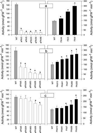 Fig. 2 (a–d) Fructokinase activity in transgenic potato (Solanum tuberosum) plants. (a) Fructokinase activity in developing tubers harvested from 10-week-old plants of cv. Record. (b) Fructokinase activity in developing tubers harvested from 10-week-old plants of cv. Desiree. (c) Fructokinase activity in fully expanded source leaves harvested from 6-week-old plants of cv. Desiree. Values are presented as means ± SE of measurements on six plants per line; those marked by an asterisk were determined to be significantly different from wild type (P < 0.05) by the performance of t-tests.