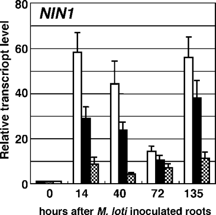 Fig. 4 Effect of MeJA on expression of NIN. Wild-type plants were mock sprayed (open bar), or sprayed with 10–4 M (filled bar) or 10–3 M (shaded bar) of MeJA 24 h prior to and 0 and 72 h after M. loti inoculation. Results are shown as fold increase compared with roots at time zero. Values shown represent the mean ± SD of three experiments.