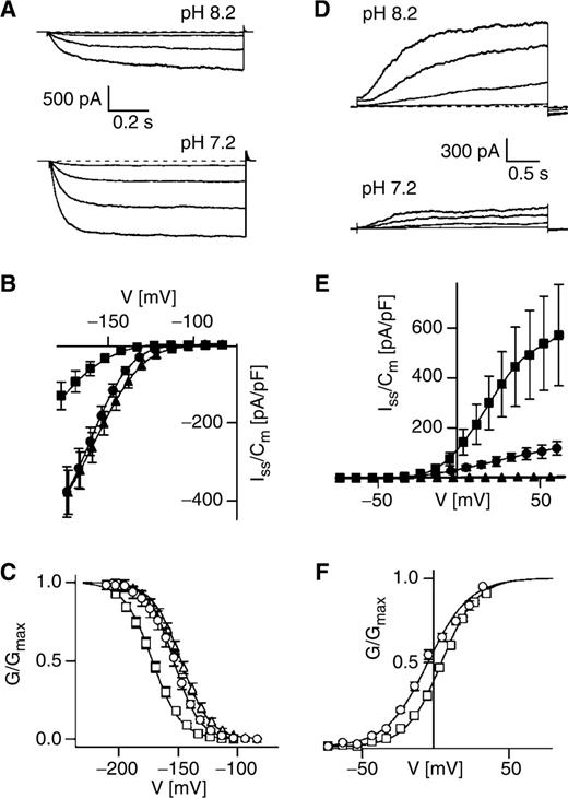  Intracellular pH sensitivity of the K + -selective channels from maize subsidiary cells. Macroscopic K in (A–C) and K out (D–F) currents were monitored and analyzed for different intracellular pH values. (A) Representative K in current traces elicited upon voltage steps to −184, −164, −144 and −124 mV are shown. (D) Representative K out currents evoked upon voltage pulses to −24, +6, +36 and +66 mV are given. Dashed lines give the zero current level. (B, E) The respective steady-state current densities were plotted against the membrane voltage. (C, F) The intracellular pH effect on the voltage-dependent relative open probability is reflected by normalized macroscopic conductance–voltage curves [G/G max (V)]. The solid curves give the mean of the individual fits describing the data values according to the Boltzmann distribution. (B) pH 8.2, filled squares, n = 11; pH 7.4, filled circles, n = 6; pH 6.7, filled triangles, n = 7. (C) pH 8.2, open squares, n = 8–11; pH 7.4, open circles, n = 6; pH 6.7: open triangles, n = 7. (E) pH 8.2, filled squares, n = 5; pH 7.4, filled circles, n = 4; pH 6.7, filled triangles, n = 6. (F) pH 8.2, open squares, n = 5; pH 7.4: open circles, n = 4. In A–F, standard pipet solution was used without isopropanol, contained only ATP (no GTP) and was adjusted to the pH values as indicated. The bath solution was composed of 10 mM K-gluconate, 1 mM Ca-gluconate 2 and 10 mM MES pH 5.6/Tris. 