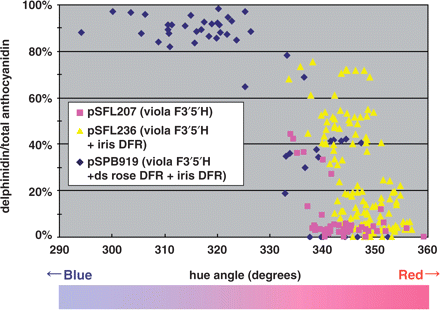 Correlation of delphinidin content and petal colors in transgenic Lavande. The percentage of delphinidin in the petals of individual transgenic plants was plotted against the flower color represented by the hue value in degrees (hue angle). Pure red and blue have hue values of 360 and 270° in the hue angle, respectively. The higher the percentage of delphinidin was, the bluer the flower color became. The color gradation bar approximately indicates the corresponding petal color of transgenic Lavande petals.