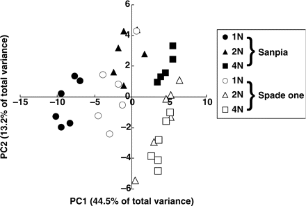 Sample scores for the first (PC1) and second (PC2) principal components provided by PCA analysis for identified metabolites in spinach leaf extracts. Each group is represented by 5–6 samples. r = 0.921.