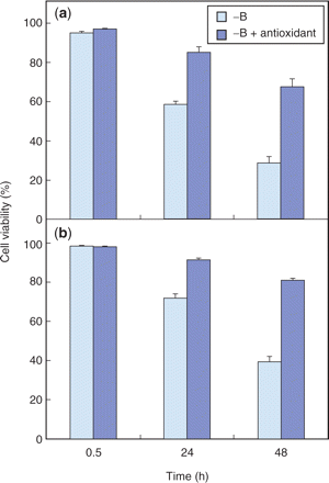 Effect of antioxidant on cell death induced by B deprivation. After pre-culture for 1 h in a standard growth medium supplemented with 0.1 mM of either BHA (a) or α-tocopherol (b), cells were washed with and transferred to a B-free medium supplemented with the same 0.1 mM antioxidant. Cells treated in the same way but without antioxidant were prepared as a control. Each bar shows the mean of results from four randomly selected fields ± SD.