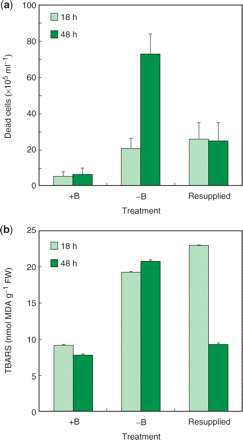 Effects of B resupply on cell death and the accumulation of lipid peroxides. (a) Number of dead cells. Duplicate cultures were deprived of B, and then supplemented after 18 h with either boric acid at 1 mg B liter–1 (‘resupplied culture’) or water (‘−B culture’). Cells washed with and cultured in control medium were also prepared as a control (‘+B culture’). Aliquots of the cell suspensions were withdrawn and dead cells were counted after FDA/PI staining. Each value is an average of the results of six independent counts. (b) Lipid peroxide contents. Cells were treated as in (a) and their lipid peroxides were quantified as in Fig. 2e. Each value is the mean of two replicates, and the error bar represents the difference between replicates.