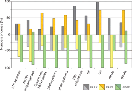 Overview of plastid transcript levels in sig6-2 and the chimeric sigma lines sig6/3 and sig3/6 (color-coded bars). The percentage of up- and down-regulated plastid genes (compared with the WT) within each functional class indicated at the bottom is given (percentage scale on the left).