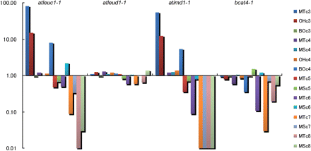 Glucosinolate contents in the seeds of the knockout lines. The content of GSLs relative to the wild type are shown on a logarithmic scale. MT, MS, OH and BO indicate methylthioalkyl, methylsulfinylalkyl, hydroxylalkyl and benzoyloxyalkyl GSLs, respectively. cn (n = 3–8) indicates the length of the side chain.