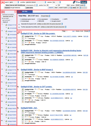 An example search result for Oryza sativa genes against the query keyword ‘drought tolerance’ and the genomic interval between 0 and 10 Mbp on chromosome 6 in the IRGSP build 4 genome. Users can apply their queries at the top of the output display (A). To select genomic interval visually, PosMed-plus cooperates with the Flash-based genomic browser OmicBrowse (Matsushima et al. 2009). The tab labeled ‘All Hits’ (B) shows a list of selectable document sets to be included in the search. Changing the ‘Simple Mode’ to the ‘Expert Mode’ allows fine retrievals. PosMed search results are ranked in (C). Clicking the ranked gene names shows all the documents (see Fig. 4). The ‘Position’ links guide users to see the gene on our original genome browser, OmicBrowse. Users can download at most 300 candidate genes and their annotations from (D).