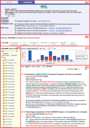 Detailed documents screen on PosMed-plus. This page shows document sets for the AT4G2580 gene, linked from the best hit (Os06g0127100) in Fig. 3 (C). Gene descriptions are shown at (A). Users can select the type of documents from the Arabidopsis gene record, At co-expression, At localization, AtPPI, At phenotype or MEDLINE (B). Additionally, several types of transcriptome data such as tilling array and full-length cDNA data, genome annotations and markers are stored at the ‘other databases’ tab (B). The bar chart represents the number of related documents per year. Red shows the number of documents with a user-specified keyword and blue shows the number of documents without a user-specified keyword. All documents are shown at (D). The AT4G2580-related genes are listed in (E).