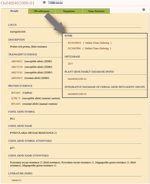 Gene details view. The ‘Details’ tab shows the detailed annotation information including the literature-based manual curation data. The ‘DB references’ tab provides hyperlinks to the external databases including the two satellite databases, Plant Gene Family Database and Integrative Database of Cereal Gene Phylogeny.