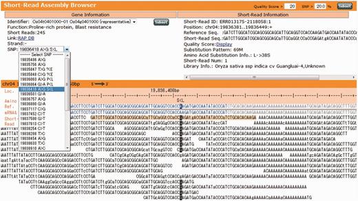 Short-Read Assembly Browser (S-RAB). The S-RAB window consists of (i) a Gene information view (upper left); (ii) an Alignment view (bottom); and (iii) a Short-read information view (upper right).