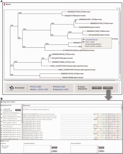 Integrative Database of Cereal Gene Phylogeny (IDCGP). (A) Main window of IDCGP showing the phylogenetic trees, hyperlinks to the downloadable data and buttons for adding sequences and editing multiple sequence alignments. (B) A window for editing multiple sequence alignments.