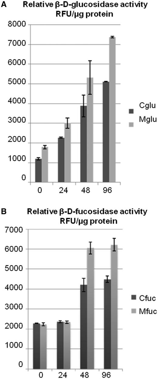 Quantification of β-d-glucosidase and β-d-fucosidase activities in MeJA-treated radish roots. (A) β-d-Glucosidase activity in the MeJA-treated plants. The assay was performed using a fluorogenic substrate, 4-MU β-d-glucopyranoside, by monitoring the increase of fluorescence. (B) Fucosidase activity in the MeJA-treated plants with respect to the control. The assay was performed using a fluorogenic substrate, 4-MU β-d-fucosidase, by monitoring the increase of fluorescence. Here the fucosidase activity seems to increase 48 h post-treatment. RFU, relative fluorescence unit; Cglu, β-d-glucosidase activity in the supernatant of control plants; Mglu, β-d-glucosidase activity in the supernatant of MeJA-treated plants; Cfuc, β-d-fucosidase activity in the supernatant of control plants; Mfuc, β-d-fucosidase activity in the supernatant of MeJA-treated plants.