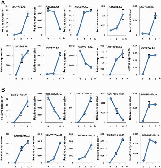 Expression patterns of 10 SlMYB genes in response to SA and MeJA treatments. (A) SA-induced expression patterns of 10 SlMYB genes. Three-week-old tomato seedlings, grown under standard conditions, were subjected to SA treatment. The aerial parts were harvested at the indicated times for RNA extraction and qRT-PCR analysis. Zero time samples were taken prior to treatment. Transcript levels of SlMYB genes were normalized to ACTIN2 expression. (B) MeJA-induced expression patterns of 10 SlMYB genes. Three-week-old tomato seedlings, grown under standard conditions, were subjected to MeJA treatment. The SlMYB mRNA levels were analyzed as in (A). All hormone treatments were initiated at the beginning of the 16 h light period (28°C) to ensure identical environmental conditions throughout the time course. Data shown are the average and SD of three biological replicates.