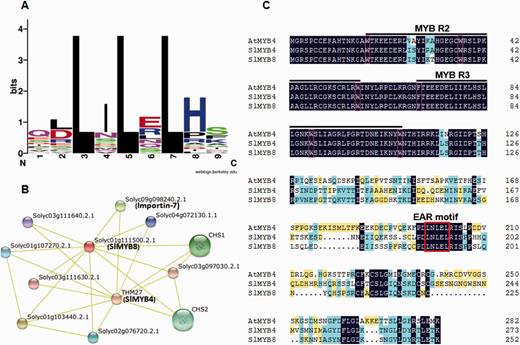Protein sequence context of 26 EAR motifs and protein interaction network predicted for SlMYB4 and SlMYB8. (A) Amino acid sequence context of EAR motif-containing SlMYB proteins. The core EAR motif site and flanking ±2 amino acid sequences of 25 LxLxL and one overlapping LxLxL and DLNxxP types of EAR motif-containing proteins were used for generating WebLogos using the WebLogo program (Crooks et al. 2004). The height of the letter representing an amino acid in each position reflects the difference in the frequency of its occurrence in the experimental sets. (B) Interaction network of SlMYB4 and SlMYB8 in tomato. Colored balls (protein nodes) in the network were used as a visual aid to indicate different input proteins and predicted interactors. Protein nodes which are enlarged indicate the availability of 3D protein structure information. Yellow lines connect proteins which are associated by recurring textmining evidence. (C) Amino acid sequence alignment between SlMYB4, SlMYB8 and AtMYB4. The alignment was performed using ClustalX 2.1 and DNAMAN software. A black background indicates conserved residues among all the proteins selected, and non-identical residues are shaded in light blue and yellow. The dashes indicate gaps introduced for better alignment. The conserved W residues in R2 and R3 repeats are indicated by pink boxes. The MYB domain is indicated by black lines and the EAR motifs are marked with a red box.