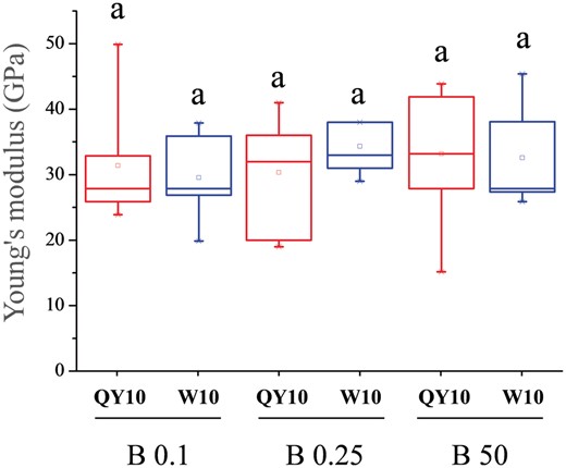 Average Young’s modulus of cell wall without pectin (CW-P) of Brassica napus genotypes ‘QY10’ and ‘W10’ suspension cells after long-term culture (12 d) in 0.1, 0.25 and 50 μM B. Boxes show 25th–75th percentile values and whiskers show minimum and maximum values. Different letters show significant difference at P < 0.05 (Duncan’s test).