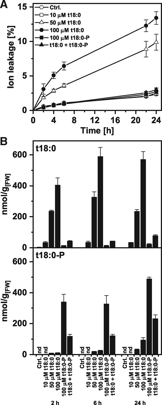 Cell death induction and LCB levels after Arabidopsis leaf disc treatment with phytosphingosine (t18:0) and phytosphingosine-phosphate (t18:0-P). (A) Time-course analysis of cell death induction after LCB treatment. Leaf discs were immersed in control solution (2% methanol in water) or the indicated concentrations of LCBs t18:0 or t18:0-P. The combined treatment of t18:0 and t18:0-P contained 100 μM of each of the two compounds. Cell death was measured as the conductivity of the solution at respective time points relative to the conductivity of the boiled sample at the end of the experiment which was set to 100%. (B) Levels of t18:0 and t18:0-P in leaf discs were measured at the indicated time points using HPLC-MS/MS. Prior to LCB extraction, leaf discs were washed to reduce carry-over of LCBs from the treatment solution. Values in (A) and (B) are means of four independent samples, each consisting of five leaf discs with error bars indicating standard deviation.