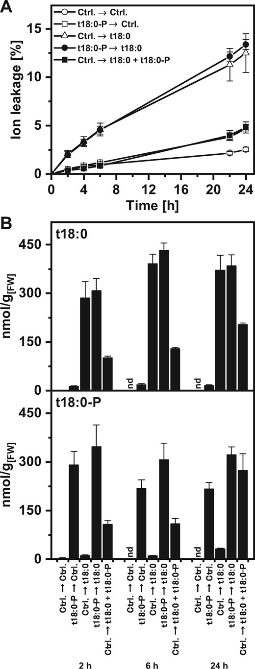 Cell death induction and LCB levels of leaf discs after different phytosphingosine (t18:0) and phytosphingosine-phosphate (t18:0-P) treatment regimes. (A) Time-course analysis of cell death after two subsequent treatments: leaf discs were incubated in the first treatment solution. After 3 h, discs were washed to reduce carry-over and incubated in the second treatment solution for the time indicated on the x-axis. Treatment solutions contained 100 μM of the indicated compounds, or the respective amount of solvent (control). Cell death was measured as the conductivity of the solution at respective time points relative to the conductivity of the boiled sample at the end of the experiment which was set to 100%. The time points indicated represent the time after immersion of leaf discs in the second treatment solution. (B) Levels of t18:0 and t18:0-P in leaf discs were measured at the indicated time points using HPLC-MS/MS. Prior to LCB extraction, leaf discs were washed to reduce carry-over of LCBs from the treatment solution. Values in (A) and (B) are means of four independent samples, each consisting of five leaf discs with error bars indicating standard deviation.
