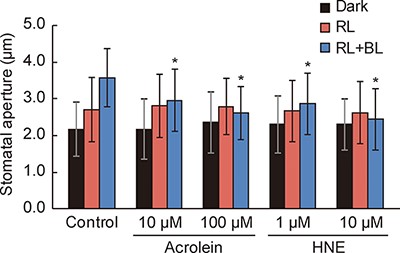 RCS inhibit BL-dependent stomatal opening.