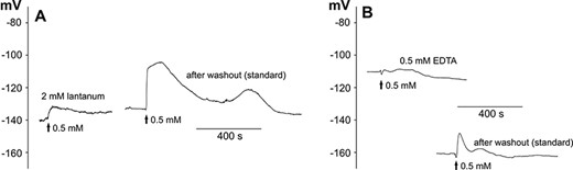 Blockage of H2O2-evoked long-distance electrical signals by 2 mM lanthanum (A) and 0.5 mM EDTA (B). The method of stimulation was the same as in Fig. 1A. The representative membrane potential changes show the effects of preincubation in lanthanum (A) or EDTA (B), respectively, and then the washout of the drugs carried out on the same plant.