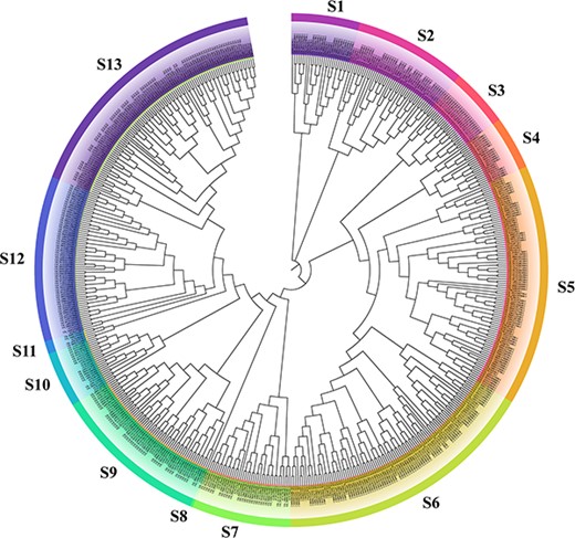 Phylogenetic tree of 478 GhMYB proteins of Gh and 130 AtMYB proteins of A. thaliana. The full-length sequences of MYB proteins were subjected to ClustalW to perform the multiple sequence alignment. Based on the amino acid sequences of MYB proteins, the circular phylogenetic tree was constructed using MEGA 7.0 by the neighbor joining method with 1,000 bootstrap replicates. Thirteen main clades were marked S1–S13.