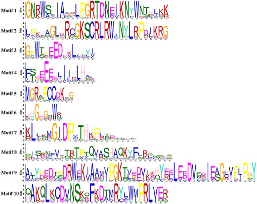 Conservative motif information of GhMYB proteins. The sequence logos of MYB repeats were based on full-length sequence alignments of all GhMYB proteins. The bit score indicated the information content for each position in the sequence. The overall height of each stack shows the conservation of the MYB protein sequence. Letters indicate the different types of amino acid residues.
