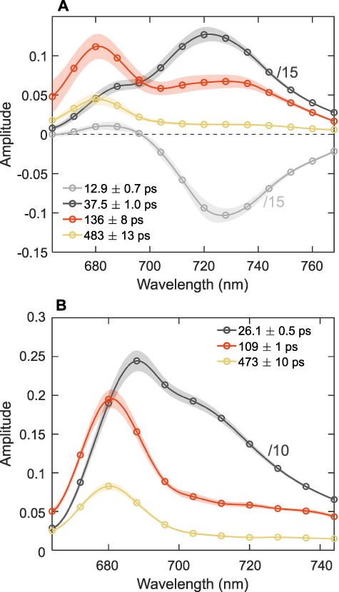 The DAES of thylakoid membranes from T. vulcanus (A) and S. 6803 (B) obtained by the global lifetime analysis of the fluorescence decays recorded at room temperature with 440-nm excitation. Note that only the symbols represent measured data points, whereas the lines are interpolated to guide the eye. For better visualization, the spectra of the short-lived PSI components are divided by 10 (for S. 6803) or 15 (for T. vulcanus). The spectra are the average from seven (T. vulcanus) or eight (S. 6803) independent measurements; the shaded areas represent standard errors. For clarity, long-lived 2-ns components with very small amplitudes (<3%) are omitted. Representative fluorescence decays and fit residuals are shown in Supplementary Figure S6.