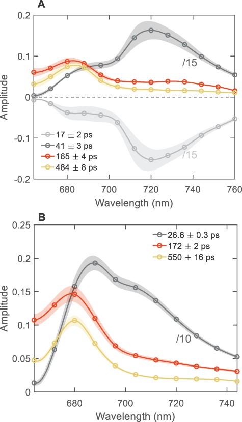 The DAES of intact cells T. vulcanus (A) and S. 6803 (B) obtained by the global lifetime analysis of the fluorescence decays recorded at room temperature with 440-nm excitation. For better visualization, the spectra of the short-lived PSI components are divided by 10 (for S. 6803) or 15 (for T. vulcanus). The spectra are the average from three (T. vulcanus) or six (S. 6803) independent measurements; the shaded areas represent standard errors. For clarity, long-lived 2-ns components with very small amplitudes (<1%) are omitted.