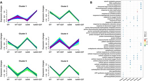 Gene expression patterns in response to controlled deterioration. (A) Expression patterns of genes in six clusters generated from a total of 5,521 DEGs. Gene numbers used for the analysis are shown in parentheses. (B) GO-enrichment results of biological process category for the genes in different clusters. Dot size represents the number of genes, and gradient color of the dot indicates the significance log10 (-adjust P-value) value of the gene set.