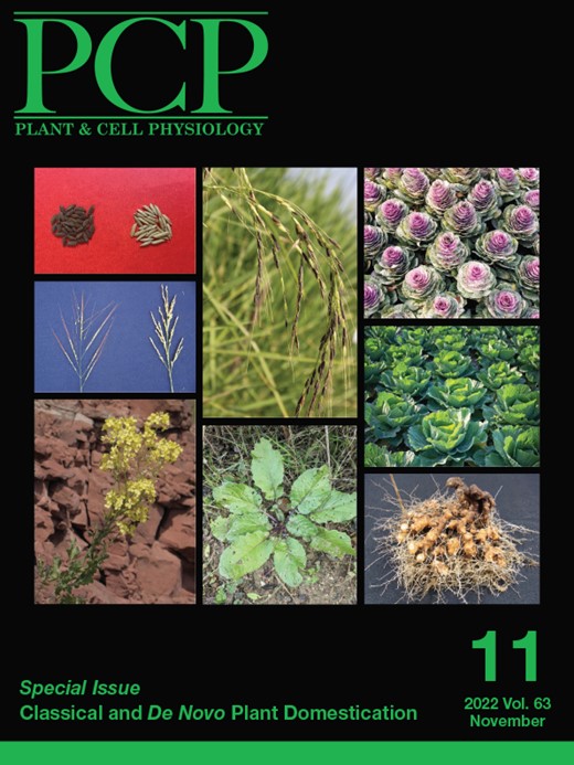 Plant and Cell Physiology Cover Image for Volume 63, Issue 11