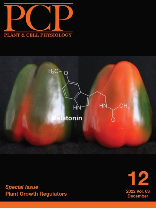 Plant and Cell Physiology Cover Image for Volume 63, Issue 12