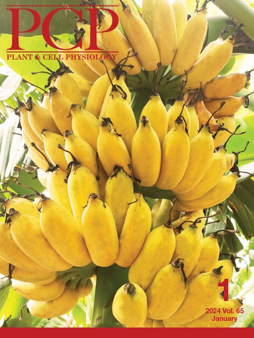 Plant and Cell Physiology Cover Image for Volume 65, Issue 1