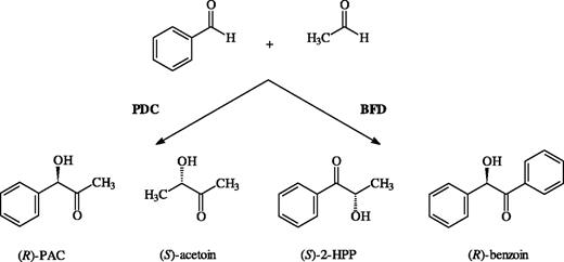 Carboligation products of acetaldehyde and benzaldehyde via PDC and BFD catalysis, respectively.