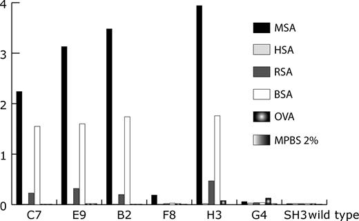 Binding specificity of some clones isolated by covalent DNA display. Several antigens were coated on plastic followed by the addition of purified FynSH3 mutants. Bound FynSH3 variants were detected with α-6xHis tag-HRP immunoconjugate. Clones B2, F8 and H3 were isolated after two rounds of selection. Clones C7 and E9 were selected after four rounds. G4 is the starting clone for the construction of the affinity maturation library. MPBS (2%): 2% milk (w/v) in PBS.