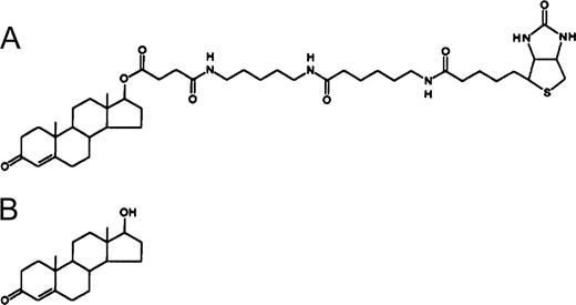 Molecular structures of testosterone-biotin (A), the derivative used for the phage display selections and the subsequent ELISA and BIAcore assays, and testosterone (B).