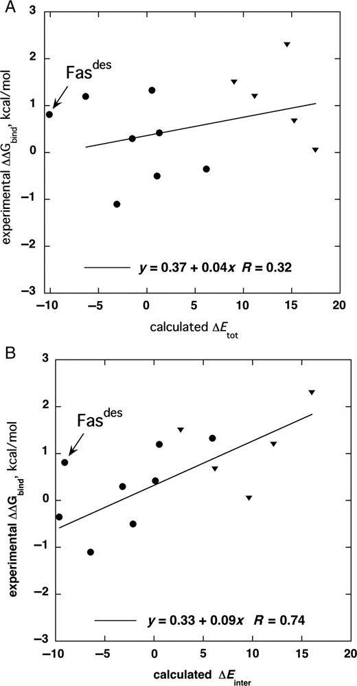 Correlation between the experimentally observed change in free energy of binding, ΔΔGbind, and the change in the calculated energies for the Fas–TcAChE complex. (A) Correlation with the total energy change, ΔEtotal. (B) Correlation with the inter-molecular energy change, ΔEinter. (Closed circle) Fas mutants tested for binding to TcAChE in this study.(Closed inverted triangle) Fas mutants previously tested for binding to mAChE. We excluded Fas mutants with amino acid deletions or with mutations outside the Fas–mAChE interface, as well as mutants for which an exact value of Kd had not been reported. The lines represent the linear fitting of all the data points except for that for Fasdes.