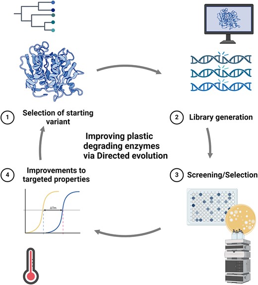 Graphical Abstract
