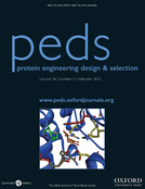 Protein Engineering, Design and Selection Cover Image for Volume 28, Issue 2