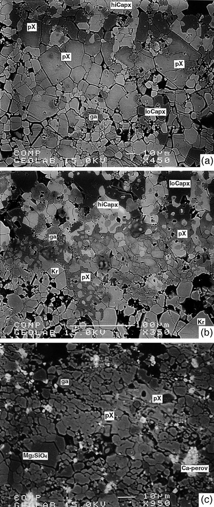 Back-scattered electron photomicrographs of phase X-bearing assemblages taken from the centers of experimental charges (tops of the images point to the hotter end of the capsules). (a) Run JKW7 at 14 GPa and 1300°C showing euhedral crystals of phase X in part with heterogeneity in K/(K + Na): light areas are K rich, whereas dark areas are more Na rich. (b) Run JKW9 at 12 GPa and 1300°C with coexisting phase X and K-richterite. Phase X shows irregular cleavage and numerous inclusions of Kr and hiCapx. Holes in the sample surface are due to mechanical abrasion during polishing. (c) Run JKW47 at 20 GPa and 1500°C showing poikiloblastic phase X coexisting with majoritic garnet and γ-Mg2SiO4; abbreviations are given in Table A1.