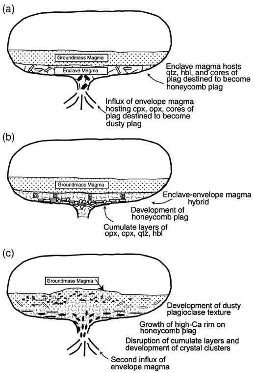A generalized magma chamber model. (a) Envelope magma invades a layered magma system in which less dense groundmass magma overlies more dense enclave magma. (b) The enclave magma shown in (a) hybridizes with the envelope magma to produce a hybrid lower layer of the magma chamber. Crystals that originated in the envelope and enclaves magmas, respectively, form cumulate layers in the hybrid magma. Plagioclase crystals that formed in the two end-members adjust to the new host composition by resorption (honeycomb plagioclase) or growth of less calcic plagioclase overgrowths onto crystal cores (interiors of dusty plagioclase). (c) A second influx of envelope magma disrupts cumulate layers and may provide heat for melting crystal margins that are bound together with cooling to generate crystal clusters and plagioclase glomerocrysts. Enclave magma mingles with the overlying groundmass magma, and crystal clusters and glomerocrysts are propelled upward into the groundmass magma layer.