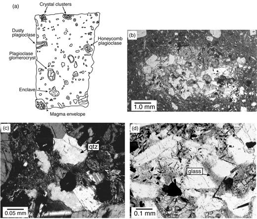 (a) Sketch of a typical thin section from the Atascosa Lookout lava flow, depicting the variety and abundance of texturally significant features. (b) A multiphase crystal cluster containing plagioclase, quartz, clinopyroxene, and hornblende crystals. (c) Irregularly shaped quartz crystals inside a crystal cluster. The lobate boundaries of the crystals may indicate that they underwent dissolution in response to heating or depressurization. (d) Close-up of the interior of a crystal cluster. The grainy devitrified glass that occurs between the crystal boundaries should be noted. Glass may be magma envelope material that leaked into the slightly disaggregated crystal cluster, or it may be recrystallized partial melt of the crystals in the cluster.