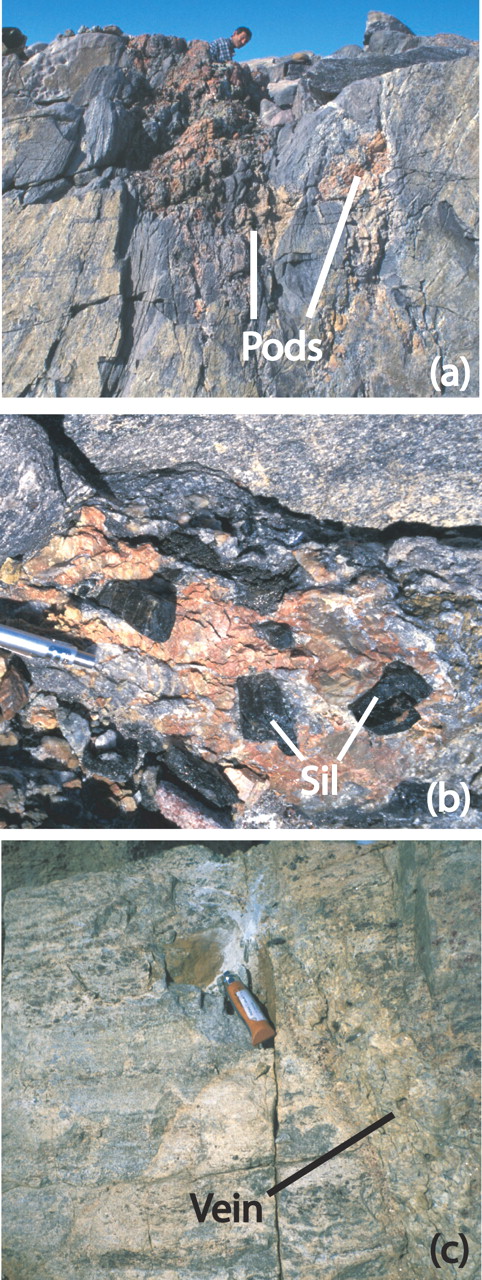 Photographs of veins in the field [modified from Grew et al. (2000)]. (a) View roughly SE of pods containing red microcline in gray quartz-rich paragneiss at Christmas Point. Photograph is courtesy of Dan Dunkley. (b) Pod containing red microcline and coarse brown sillimanite prisms (Sil) in gray quartz-rich paragneiss at Christmas Point. Photograph is courtesy of Dan Dunkley. (c) Cross-cutting vein in block of paragneiss at Mount Pardoe.