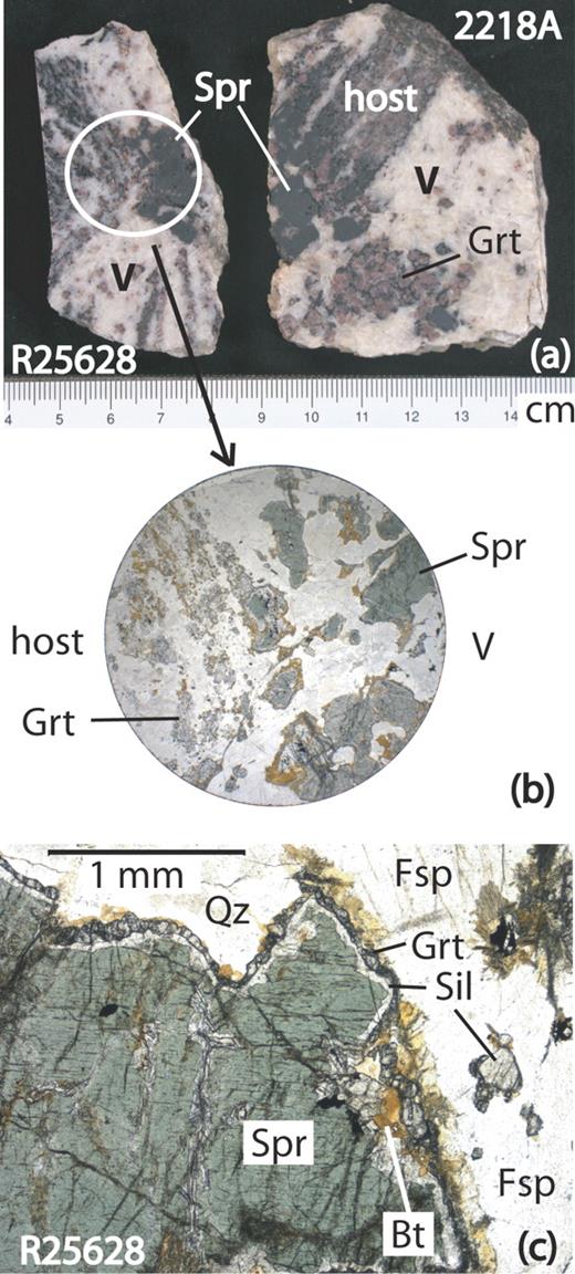 Host quartz-rich paragneisses and interboudin pockets from McIntyre Island. (a) Rock slabs with aggregates of coarse sapphirine crystals in boudin neck in sample R25628 and adjacent to boudin of paragneiss host in interboudin pocket (V) in sample 2218A. (b) Photomicrograph of section (diameter 2·5 cm) of boudin neck in sample R25628; plane-polarized light. (c) Photomicrograph of sample R25628 showing coarse sapphirine with corona of sillimanite and garnet in the interboudin pocket; plane-polarized light. Biotite (Bt, brown) not only overgrows the corona, but also is found along fractures cutting sapphirine. Fsp, highly perthitic feldspar.