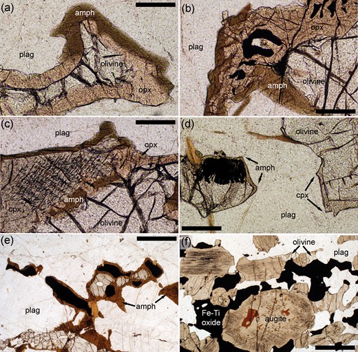  Photomicrographs of microstructures in MCU-I of the Sept Iles Intrusion. (a) Sample 9‐2382.5, containing cumulus plagioclase and olivine. The olivine grain is embayed and surrounded by orthopyroxene, suggestive of a reaction relationship between cumulus olivine and interstitial liquid. The later replacement of the orthopyroxene by amphibole should be noted. Plane-polarized light. Scale bar is 200 µm long. (b) Sample 9‐2363.5, with a cumulus assemblage of olivine and plagioclase. The olivine has been partly replaced by orthopyroxene, locally in a symplectic intergrowth with Fe–Ti oxides. This intergrowth is locally replaced by amphibole. Plane-polarized light. Scale bar is 200 µm long. (c) Sample 2363.5 showing olivine surrounded by orthopyroxene and augite, with both pyroxenes being replaced by amphibole. Plane-polarized light. Scale bar is 200 µm long. (d) Sample 9‐2382.5 showing the contrast in dihedral angle between the amphibole–plagioclase–plagioclase junctions (high dihedral angle, arrowed on the left) and augite–plagioclase–plagioclase dihedral angles (arrowed on the right). The partial replacement of the olivine grain on the left by an intergrowth of orthopyroxene and Fe–Ti oxides should be noted. Data for this sample are in Table 3 . Plane-polarized light. Scale bar is 1 mm long. (e) Sample 9‐1833.5 with a cumulus assemblage of plagioclase, olivine and Fe–Ti oxides. Cumulus grains of olivine and Fe–Ti oxides are enclosed by a thick rim of late-stage amphibole. Plane-polarized light. Scale bar is 1 mm long. (f) Sample 9‐1081 with a cumulus assemblage of plagioclase, Fe–Ti oxides and augite. The localized internal replacement of cumulus augite by amphibole should be noted. Intercumulus olivine is present as irregular patches and rims. Plane-polarized light. Scale bar is 1 mm long. 