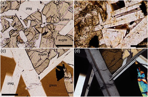  (a) A coarse-grained, glass-rich vein from the crust of the Kilauea Iki lava lake. Although many of the plagioclase–plagioclase junctions have been filled with augite, many still contain glass (asterisk). It should be noted how the plagioclase–augite grain boundaries are planar at the junctions (arrows). The value of Θ cpp in this sample is ∼78°. Sample KI76‐140.3, plane-polarized light. The scale bar is 1 mm long. (b) Sample ROM48‐219 from the Traigh Bhàn na Sgùrra sill, in which Θ cpp is 78·5 ± 4·5° ( Table 1 ). The augite–plagioclase grain boundaries are planar where they meet to form three-grain junctions (arrowed), whereas the narrower junctions between impinging plagioclase grains are filled with (partially devitrified) glass (asterisks). Plane-polarized light. Scale bar is 200 µm long. (c, d) A glass-rich vein from the crust of the Kilauea Iki lava lake (sample KI76‐143.3), showing the development of slight curvature of the left-hand augite–plagioclase grain boundary at the three-grain junction (arrowed) [(c) plane-polarized light; (d) crossed polars of the same field of view as (c)]. The scale bar is 1 mm long. 
