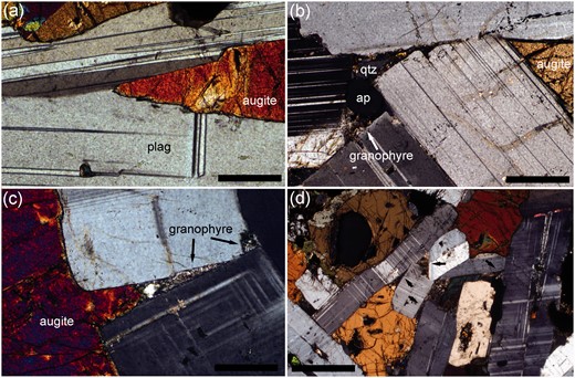  Photomicrographs of microstructural features of the Skaergaard Layered Series. (a) Augite–plagioclase–plagioclase junction with pronounced curvature of the two augite–plagioclase grain boundaries, leading to a higher dihedral angle than that formed by the original impingement of the two plagioclase grains. Sample 458285 (LZc) described by  Tegner et al . (2009)  . Cross polars. Scale bar is 200 µm long. (b) Sample 90‐22 40.9 (UZb) from the 90‐22 drill core. The planar augite–plagioclase grain boundaries forming a low dihedral angle should be noted. To the left of the image is a pocket of late-stage liquid that has crystallized to form a grain of apatite (ap), with quartz (qtz) and granophyre. The plagioclase walls of this pocket have not grown significantly and remain planar. Scale bar is 200 µm long. (c) Sample 90‐22 47.7 (UZb) from the 90‐22 drill core. The grain of augite has not grown into the narrow pore formed by the impingement of two plagioclase grains. Instead the pore has filled with granophyre. The planar walls bounding this pore, attesting to minimal growth of plagioclase subsequent to impingement, should be noted. Crossed polars. Scale bar is 200 µm long. (d) Sample 90‐22 87.7 (UZb) from the 90‐22 drill core, showing abundant pockets of granophyre (arrowed). The generally low aspect ratio of the cumulus plagioclase should also be noted. Crossed polars. Scale bar is 1 mm long. 