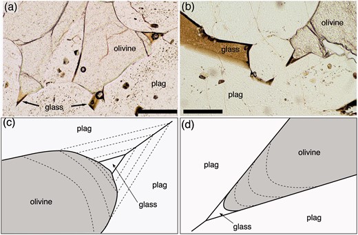 The effects of changing the relative growth rates of augite and plagioclase on the final geometry of the three-grain junction. (a, b) Glassy olivine gabbro nodules entrained in an Icelandic lava flow. Scale bars in both images are 200 µm long. (a) The olivine–plagioclase grain boundaries close to the remaining pockets of glass are curved, denoting simultaneous growth of the olivine and plagioclase (010) faces. If this were to continue the resultant olivine–plagioclase–plagioclase dihedral angle would be higher than that of the original impingement angle between the plagioclase grains (c). In (b) the olivine grain appears to be growing into the melt-filled pore formed by the impingement of two plagioclase grains with no associated growth of the plagioclase walls. Were this to continue, the resultant olivine–plagioclase–plagioclase dihedral angle would be the same as that of the original impingement angle (d).