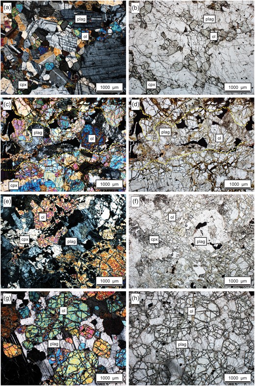 Microphotographs of rock types in the Central Series. (a) and (b) Gabbro veins. Olivine and clinopyroxene crystals are situated in ‘pathways’ between larger pyroxenes. Tabular plagioclase crystals are twinned and randomly oriented (CPL and PPL, respectively). (c) and (d) Feldspathic peridotite (breccia matrix) vein intruded into peridotite. The vein contacts are indicated by yellow dashed lines (CPL and PPL, respectively). The veins connect to more voluminous harrisite ‘pools’ and olivine crystal morphology (c.f. O’Driscoll et al., 2007a), suggest an intricate link between feldspathic peridotite and the harrisite in the Central Series. Note the difference in olivine crystal morphology between panels (c)–(f) and (g)–(j). (e) and (f) Anhedral to subhedral olivine with embayed crystal borders in feldspathic peridotite dyke. Plagioclase crystals comprise the interstices in-between the olivine grains (CPL and PPL, respectively). (g) and (h) Poikilo-macro-spherulitic feldspar texture in ‘pebbly’ peridotite. Subhedral to euhedral olivine is poikilitically enclosed in plagioclase and clinopyroxene (CPL and PPL, respectively). The olivines (high relief) are unsorted (from 0·1 to 10 mm size) and have different shapes with some crystals showing eroded edges. The olivines also occur in clots.