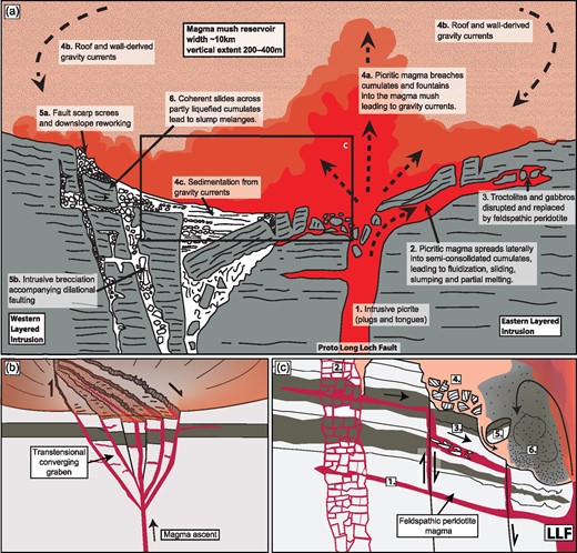 (a) Periodic replenishments of mafic to picritic magma (1) caused sliding and slumping (2) and intruded laterally into earlier cumulates (3). Magma fountaining into the chamber (4a) probably also caused instability of the roof zone and downward flow of crystal-laden, gravity-driven currents along the sides of the reservoir (4b). Dislodged crystal mushes and reworked loose cumulate debris spread across the floor and were deposited as breccias and dropstones (4c). Faulting and intrusion of feldspathic peridotite, in turn, produced scree breccias (5a) and intrusive brecciation (5b). Slides of larger coherent blocks of cumulate above ductile cumulate mushes led to spectacular slump mélanges (6) (modified after Emeleus et al., 1996). (b) The Long Loch Fault system probably displayed a number of fault splays at the bottom of the shallow reservoir. (c) Conceptual sketch explaining the formation of breccia types in the Central Series. (1) Intrusion of feldspathic peridotite along cumulate bedding and dilating weaknesses in the rock. (2 and 3) Faulting and associated intrusive brecciation separated the cumulate pile into large blocks, and some of them slowly started to slide towards the Long Loch Fault once recharge ceased. As indicated by sheared clasts, these mega-blocks slid along bedding planes where the intruded feldspathic peridotite magma likely acted as a lubricant. (4) Faulting created scarps in the cumulate pile, and the formation of large angular breccias deposited below the scarps. (5) Rotational collapse of detached blocks in-between fault splays in the Long Loch graben led locally to overturned blocks. (6) Reworked clasts (e.g. the ‘pebbly’ peridotite) were deposited lowest in the magma reservoir. At times of quiescence the suspended cumulate olivines also sedimented in topographical lows in the magma chamber, while subsequent renewed upwelling probably caused repeated re-deposition.