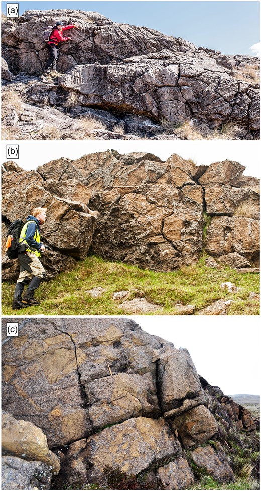 Breccia types of the Central Series: (a) Collapse breccia with jumbled metre-sized blocks of layered peridotite and troctolite fragments; SE of the Long Loch. (b) Broken up intrusion breccia from the western margin of the Central Series with pervasive network of thin feldspathic peridotite veins and dykelets (grey) that infiltrated the host peridotite (brown), west of Lag Sleitir ridge. (c) Matrix-supported feldspathic peridotite breccia. Fragments of dunitic peridotite (brown to yellow) were seemingly deposited into a feldspathic peridotite magma or mush near the boundary with the Eastern Layered Series. Note pen for scale in image centre.