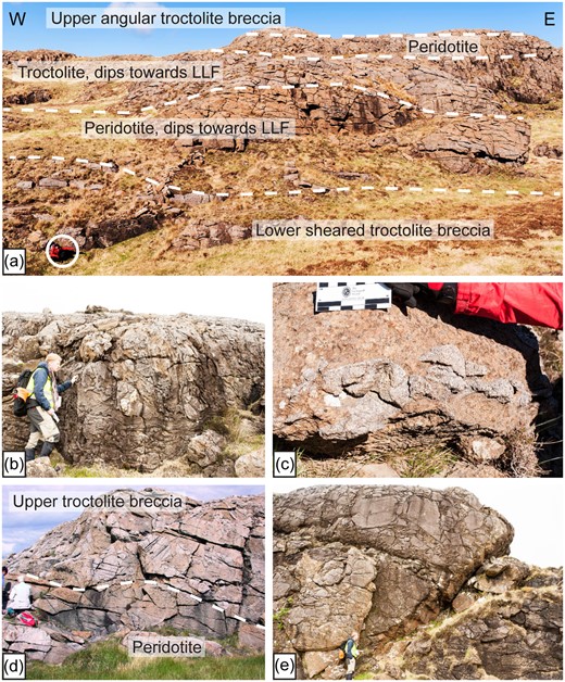 (a) Stratigraphy of the An Dornabac ridge (compare Fig. 2). The bottom unit is an intensely sheared breccia, while at the top unit is a collapse breccia with angular troctolite clasts. In-between these two units, several seemingly coherent peridotite and troctolite layers dip towards the Long Loch Fault. Sitting person for scale (circled). (b) Close-up of the lower sheared breccias. (c) Zoomed in photograph of troctolite breccia clasts in the sheared unit. The clasts are generally oriented parallel to the overall direction of movement. This lower sheared breccia probably formed when larger slabs (mega-blocks) of layered peridotite and troctolite slid on a ‘décollement’ towards the Long Loch Fault. (d)–(e) Details of the upper angular troctolite breccia show a brown peridotite matrix that contains metre-sized internally layered-clasts. This breccia-type probably formed by deposition of smaller debris blocks and clasts on the large raft-like mega-blocks that slid into the peridotite mush of the Central Series. Sitting person in d and standing person in (e) for scale.